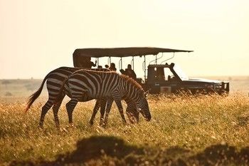 Elephant Pepper Camp Maasai Mara Esterno foto