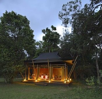 Elephant Pepper Camp Maasai Mara Esterno foto