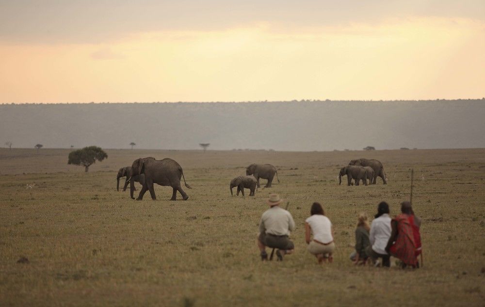 Elephant Pepper Camp Maasai Mara Esterno foto