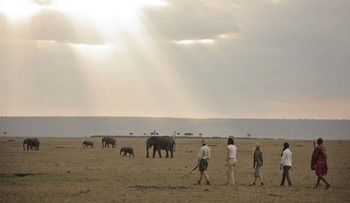 Elephant Pepper Camp Maasai Mara Esterno foto